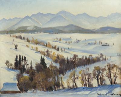 WIDOK NA TATRY