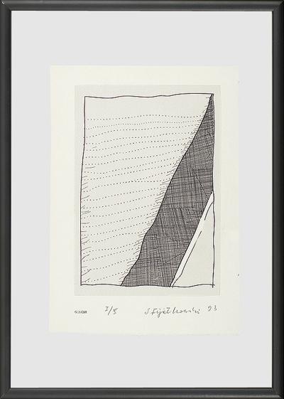 G13.CDR, 1993