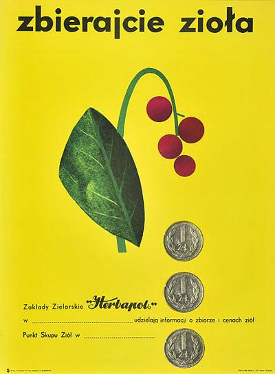 ZBIERAJCIE ZIOłA, OK. 1960