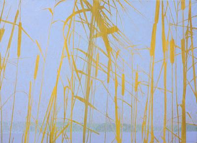 JEZIORO, 2003