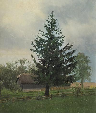 ŚWIERK, OK. 1893
