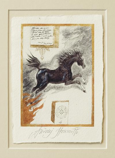 WYBRAłEM SOBIE RUMAKA..., 2012