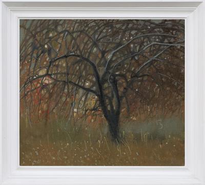 DRZEWO, 1988