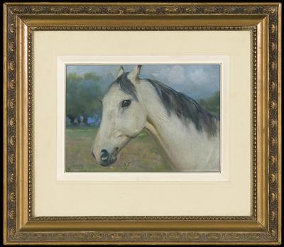 GŁOWA BIAŁEGO ARABA, 1937