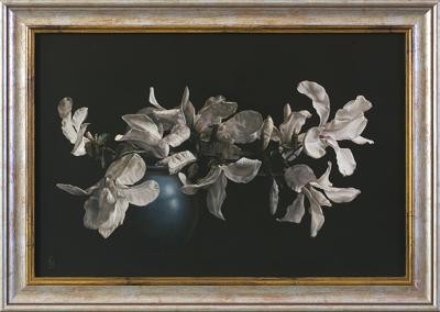 MAGNOLIE, 2013