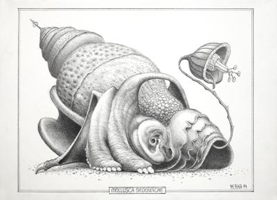 MOLLUSCA ORDOWICAE, 2014