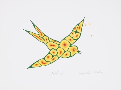 JASKółKA, 1993/2003