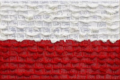 POLACY FORMUJą FLAGę NARODOWą, 2014