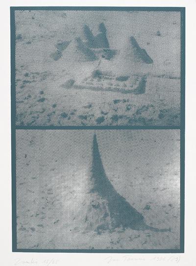 ZAMKI, 1976-1989