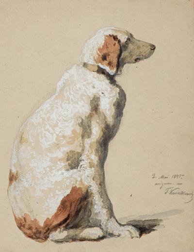 SIEDZĄCY PIES, 1845