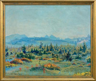 JAŁOWCE. PANORAMA TATR, 1923