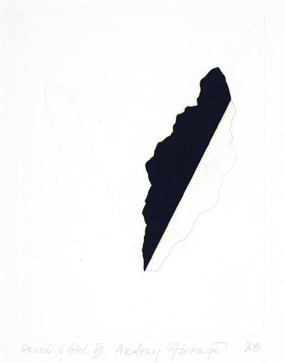 CZERŃ I BIEL VII, 1988