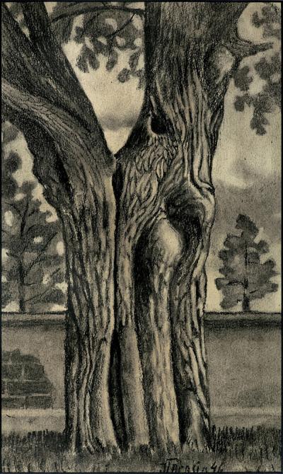 DRZEWO, 1946