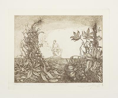 FANTAZJE WIOSENNE, 1979