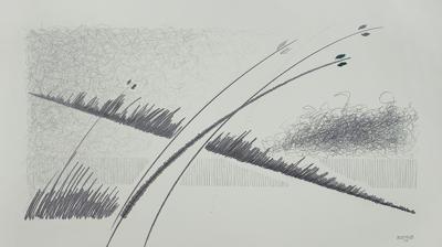 LTS 31, 2015