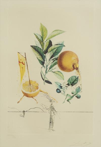 PAMPLEMOUSSE ÉROTIQUE(GREJPFRUT EROTYCZNY),1969/7