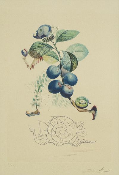 PRUNIER HÂTIF (ŚLIWKA POŚPIESZNA), 1969/70