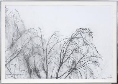 DRZEWA, 2016