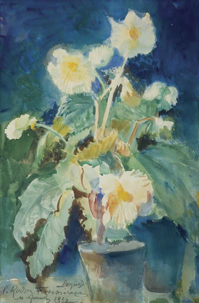 BEGONIA, 1932