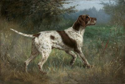 WYŻEŁ, 1908
