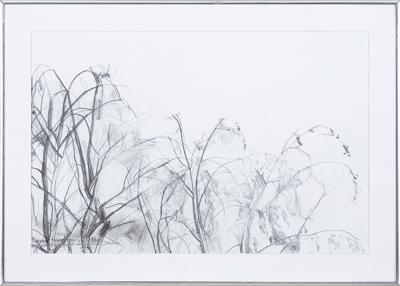 DRZEWA, 2016