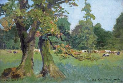 STARE DĘBY, 1906