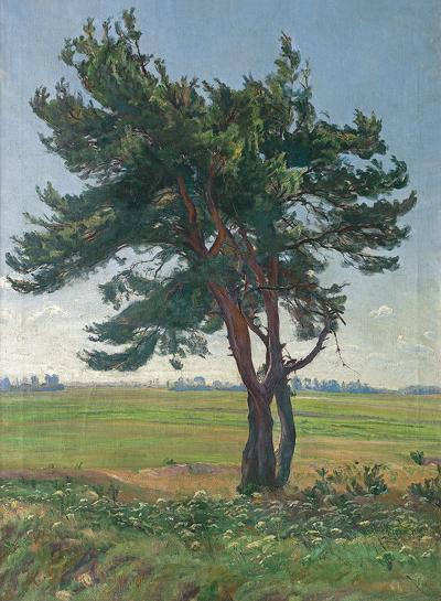 SAMOTNA SOSNA, 1927