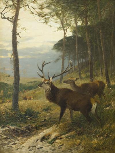 JELEŃ I ŁANIA, 1888