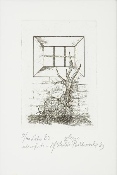 LATO 82 - OKNO, 1983