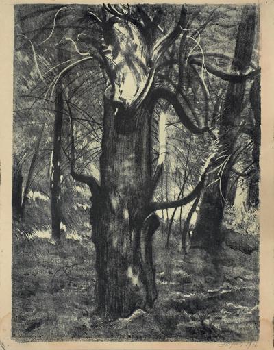 CIS (TUCHOLA), 1931