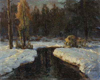 STRUMIEń W ZIMIE