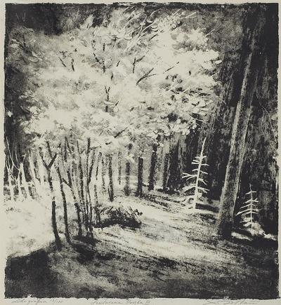 SZKLARSKA PORęBA III, LATA 50. XX W.