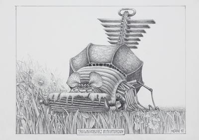 TRAWNIKOSIARZ MINIATUROWY, 2017