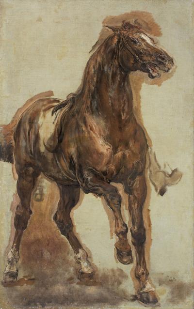 STUDIUM DO SOBIESKIEGO POD WIEDNIEM, 1882