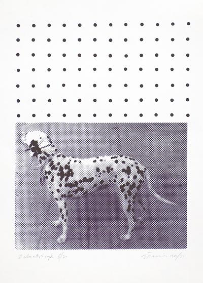 DALMATYŃCZYK 1980/96