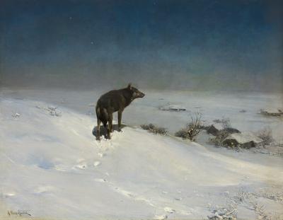 WILK W ZIMOWĄ NOC, PO 1900