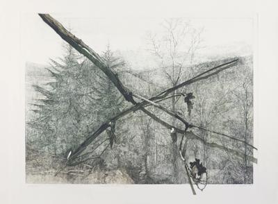 EPITAFIUM II, 1981