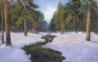STRUMIEŃ W ZIMOWYM LESIE