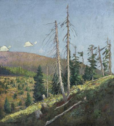 W GÓRACH