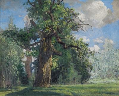 DĄB, 1917