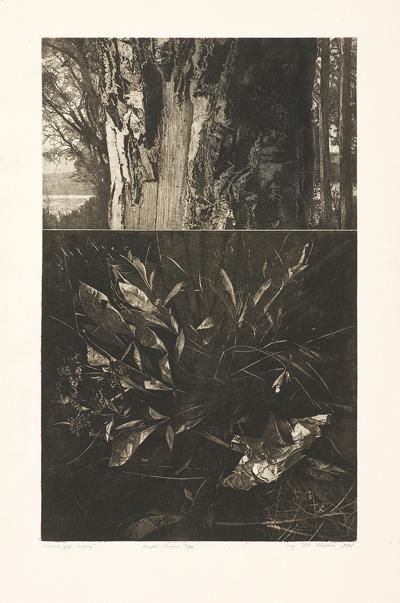 DWUDZIESTE PIĄTE URODZINY!, 1981
