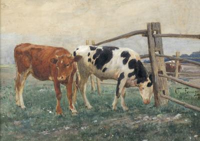 KROWY, 1888