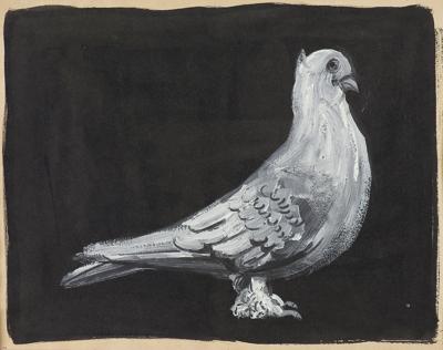 GOŁĄB OK. 1956