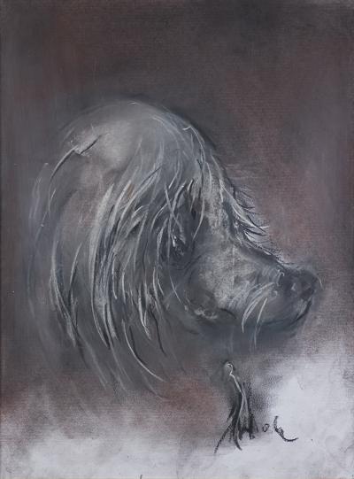 PROFIL PIESKA