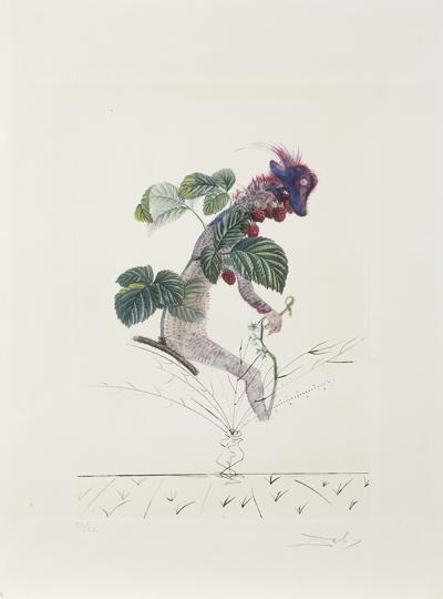KRZAK MALINY, Z CYKLU „FLORDALI“, 1969/1970