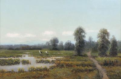 BOCIANY NAD ROZLEWISKIEM