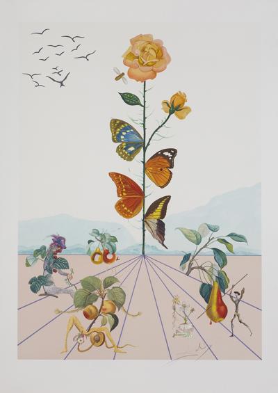 FLORDALI II, 1981