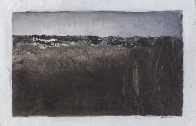 PUSTYNIA NEGEW, 2010