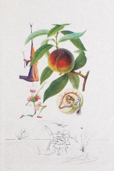 BRZOSKWINIA, Z CYKLU FLORDALI, 1969/70