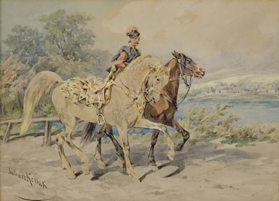 KASZTELAŃSKI LUZAK